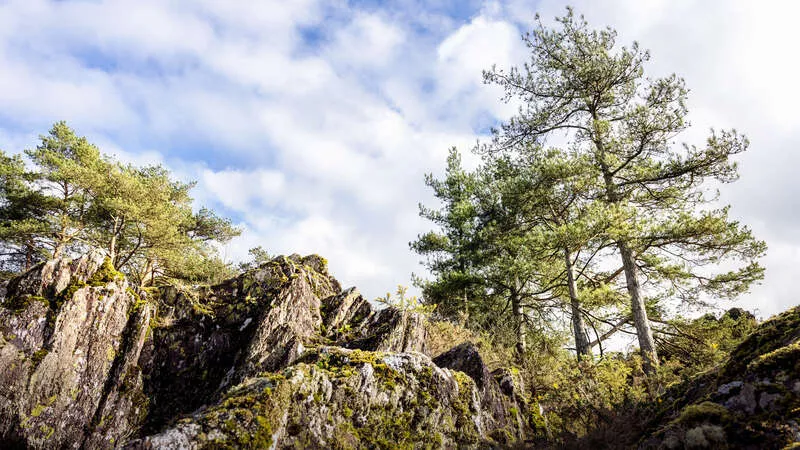Photo de la Vallée du Canut