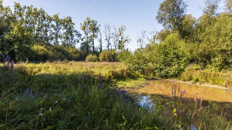 Photo des Prairies d'Olivet
