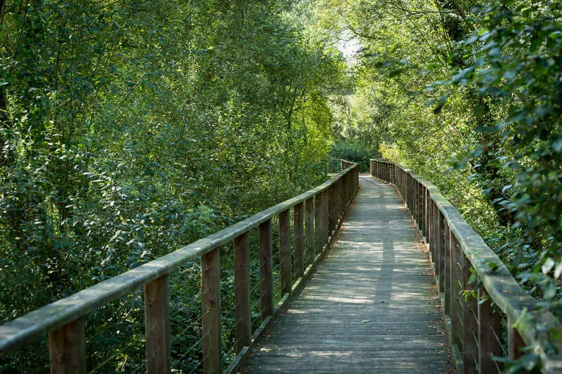 Photo du domaine de Careil avec ponton en bois 