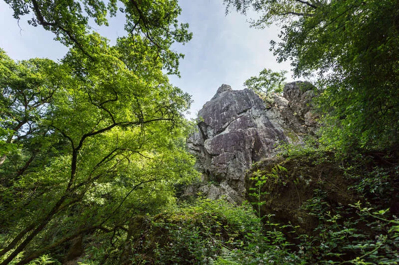 Photo des roches du saut Roland 