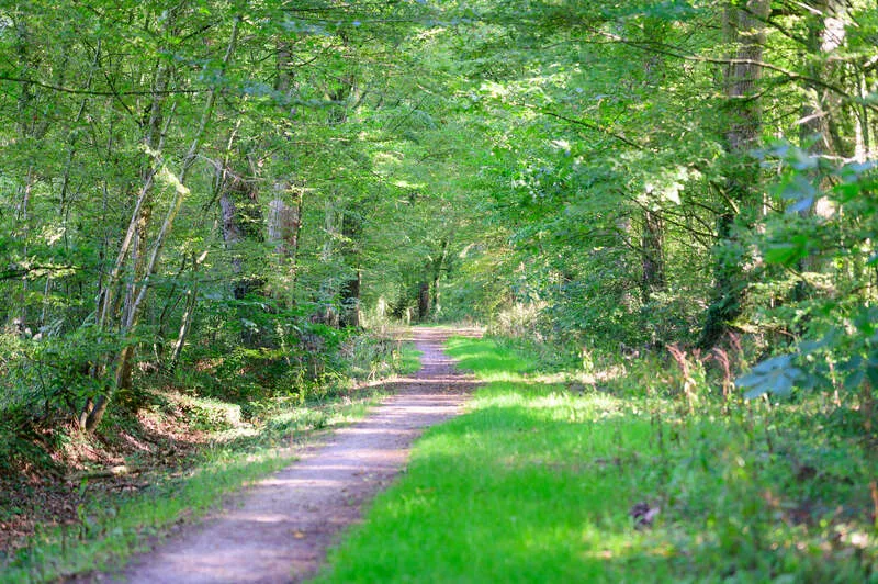Photo de l'allée de la Haichois